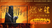 柔软的按摩